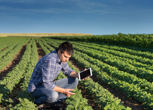 What is a Master of Science in Agronomy